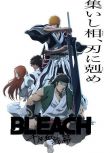 2024高分日本動畫 BLEACH 千年血戦篇-相剋譚-/死神 千年血戰篇 第三季 日語中字 盒裝2碟