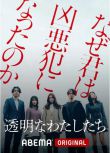 2024日劇《透明的我們》福原遙/小野花梨 日語中字 盒裝1碟