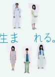 2011日劇 出生 酒井若菜/戶田惠子 日語中字 盒裝3碟