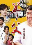 2011大陸劇 養父/念親恩 / Foster Father 張國立/牛莉 國語中字 盒裝7碟