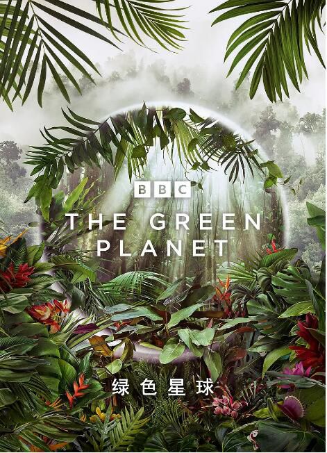 2022美劇《綠色星球/ The Green Planet》大衛·愛登堡 英語中字 盒裝2碟