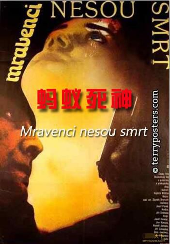 1985捷克電影 螞蟻死神 修復版 國語無字幕 DVD