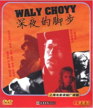 1964前蘇聯電影 深夜的腳步 二戰/蘇德戰 國語無字幕 DVD