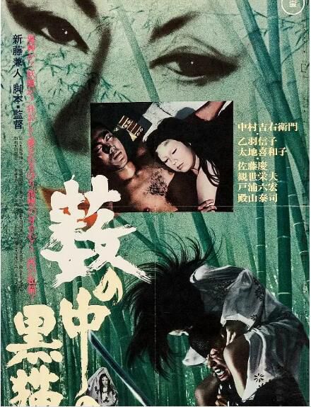 高分恐怖劇情《黑貓》日語中字高清盒裝DVD