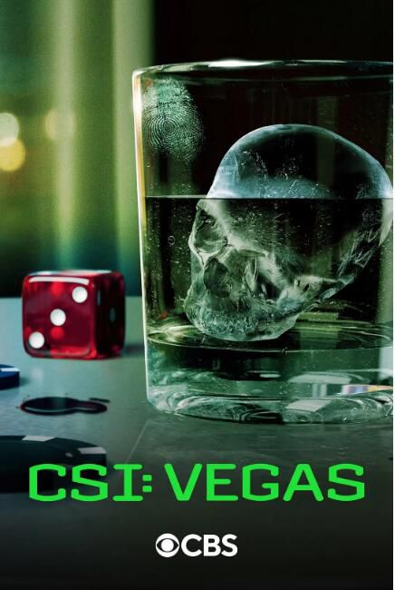 2024美劇 犯罪現場調查：維加斯 第三季 CSI: Vegas 寶拉·紐瑟姆 英語中字 盒裝1碟