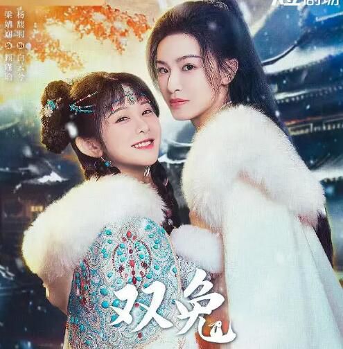 2024大陸劇《雙兔》梁婧嫻/楊馥羽 國語中字 盒裝2碟