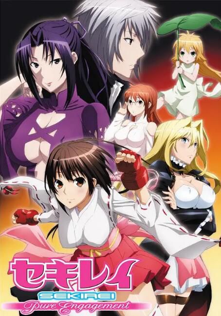 2008日本動畫 Sekirei 鸚鵡女神/鹡鸰女神1+2部 日語中字 盒裝4碟