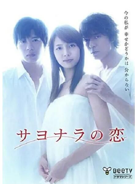 2010日本電影 離別之戀 相武紗季/上川隆也 日語中字 盒裝1碟