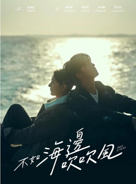 2024台劇《不如海邊吹吹風/Breeze By The Sea》陳柏霖/郭雪芙 國語中字 盒裝3碟