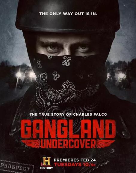 2015高分美劇 黑幫臥底/Gangland Undercover 第一季 英語中字 盒裝2碟