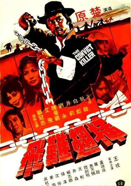 1980狄龍動作懸疑《插翅難飛》.國語中字