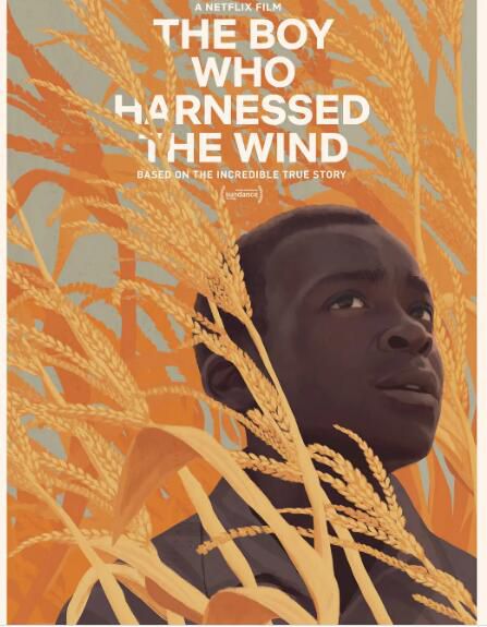 2019電影 馭風男孩 The Boy Who Harnessed the Wind 高清盒裝DVD