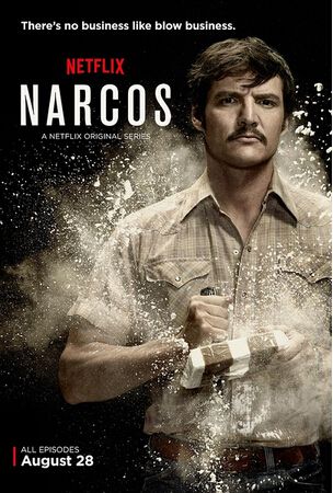 毒梟第一季/緝毒特警/毒梟風雲第一季/Narcos Season 1