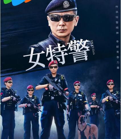 2024大陸劇 女特警 保劍鋒/王勁松 高清盒裝5碟