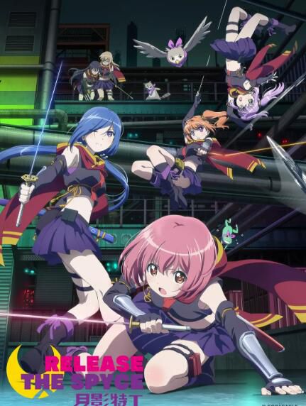 動畫 2019一月新番 月影特工RELEASE THE SPYCE 2碟完整版