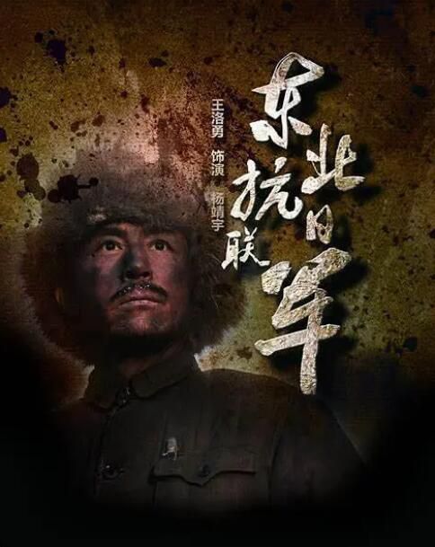 2015高分大陸劇 東北抗日聯軍 王洛勇/成泰燊 國語中字 盒裝10碟