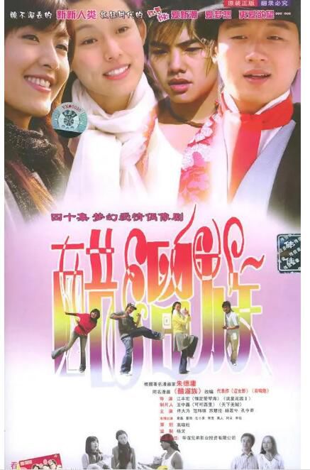 2004大陸劇 醋溜族 佟大為/範瑋琪 國語中字 盒裝5碟