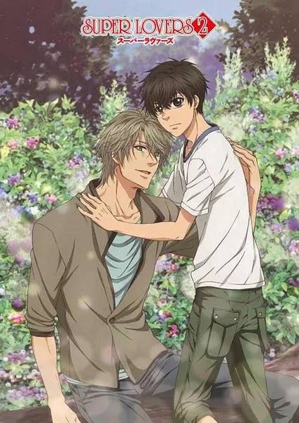 超級戀人/SUPER LOVERS 1-2季完整版（2017新番完結）2碟DVD